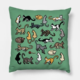 Cat World Pillow