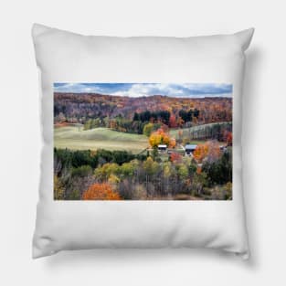 Fall Foliage In Hockley Valley Pillow