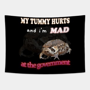 My Tummy Hurts And I'm MAD At The Government Meme Tapestry