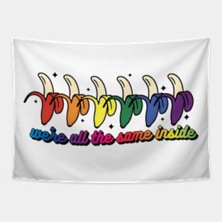 LGBTQ+, Rainbow, Gay Pride, We're All The Same Tapestry