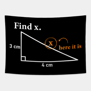 Find X Found It Funny Math Humor Geometry Graphic Tapestry