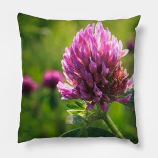 Petals in Sunlight Capture Red Clover's Elegance V1 Pillow