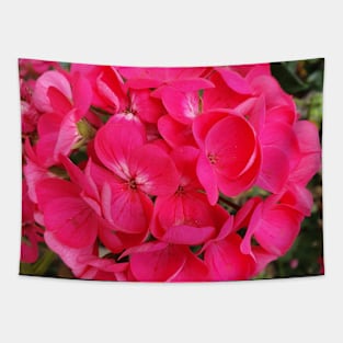 Hot Pink Geraniums Tapestry