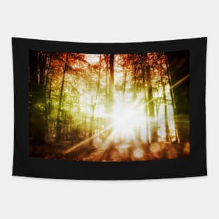 Woodland Sunburst Tapestry