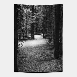 Photo of Mysterious Forest Trail Covered with Snow V1 Tapestry