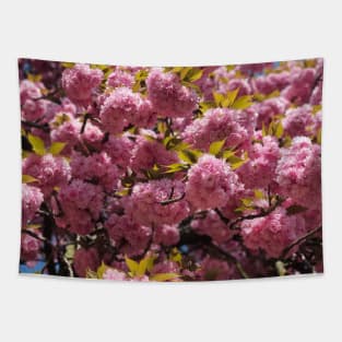 Flower tree | pink cherry blossom tree | Sakura tree Tapestry