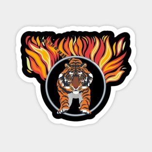 Tiger Magnet