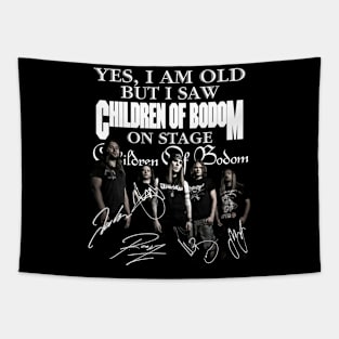 Yes I am old but I saw Children Of Bodom 2023 on stage Tapestry