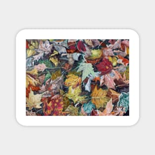 'AUTUMN DEBRIS' Magnet