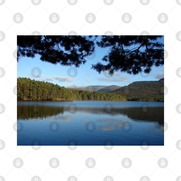 Loch an Eilein, Scotland by Chris Petty