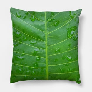 Green banana leaf vein with raindrops Pillow