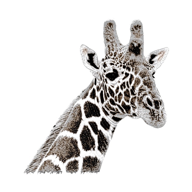 Giraffe - Safari in Kenya / Africa by T-SHIRTS UND MEHR