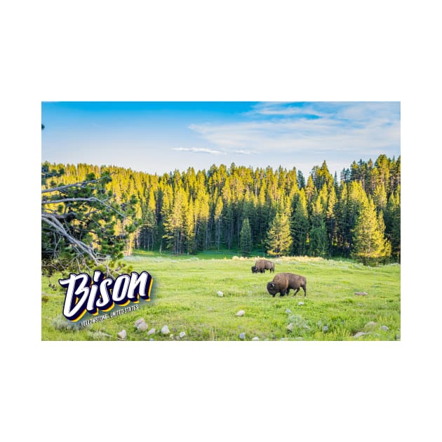 Bison at Yellowstone by Gestalt Imagery