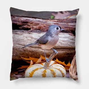 Little bird on a tiny pumpkin Pillow