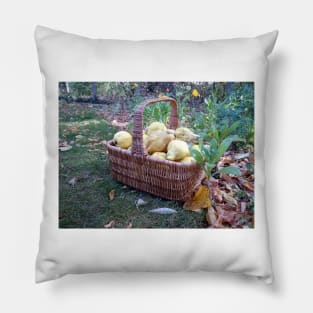 Quinces in the basket Pillow