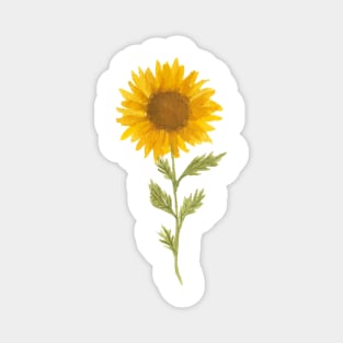 Lovely Sunflower Magnet
