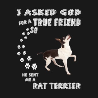 Ratting Terrier Dog Mom Christmas Gift, Rattie Dad Costume, Cute American Rat Terrier T-Shirt