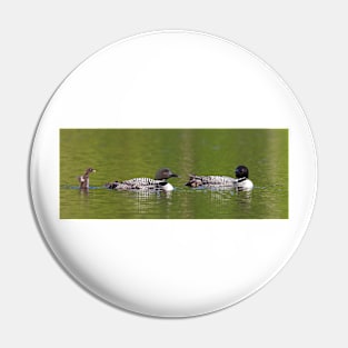 Welcome to the looniverse! Common Loons Pin