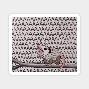 AAAAAAAAAAAAAAAAAAAAA Possum opossum Magnet