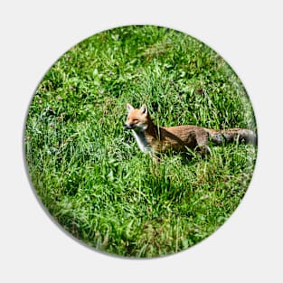 Fox Hunt / Swiss Artwork Photography Pin