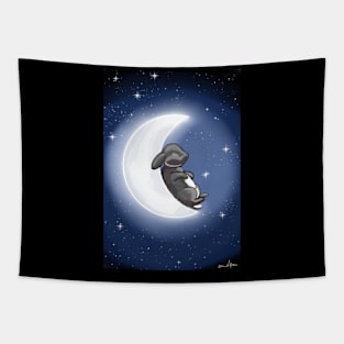 Baby Bunny on the moon Tapestry