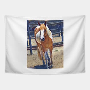 American Paint Horse Tapestry