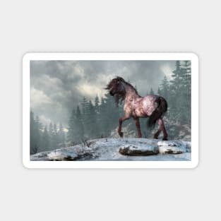 Strawberry Roan in a Winter Landscape Magnet