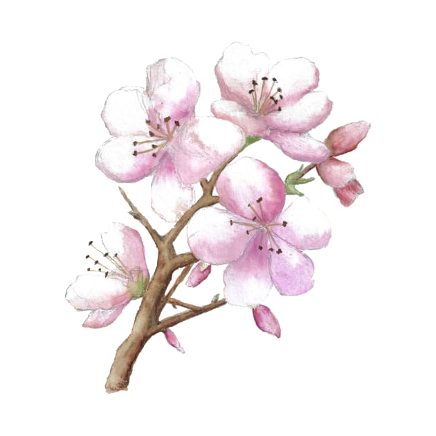 Japanese cherry blossom by Kunst und Kreatives