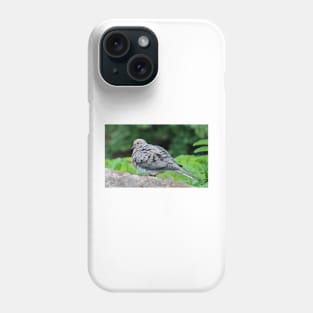 Turtle Dove Phone Case