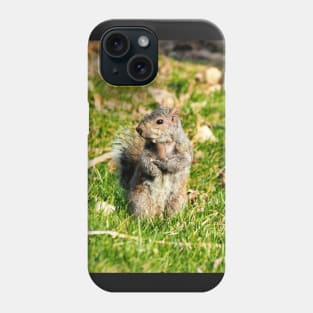 A Squirrel Crossing Its Arms Phone Case
