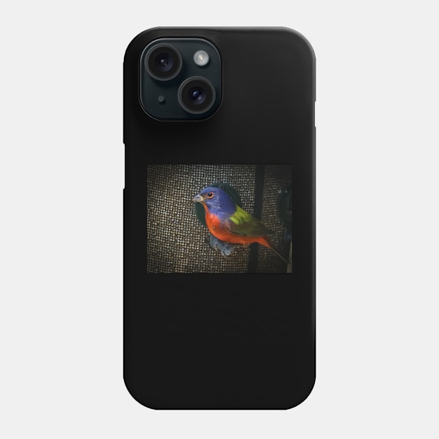 Painted Bunting Phone Case by Todd Graven Photography 