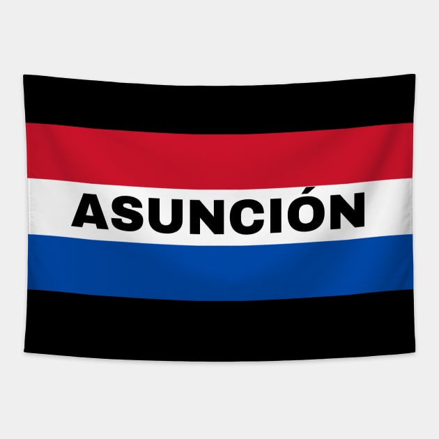 Asunción City in Paraguay Flag Colors Tapestry by aybe7elf