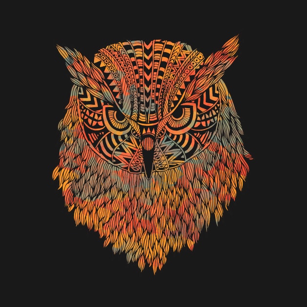 Owl (Wise) by normanduenas