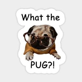 What the pug?! Magnet