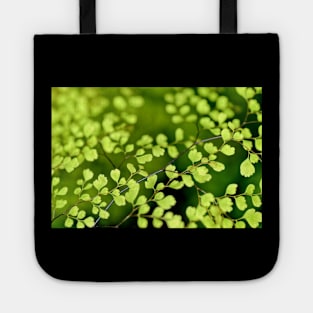 Awesome green leaves tree Tote