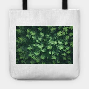 Top down aerial view of pine forest Tote