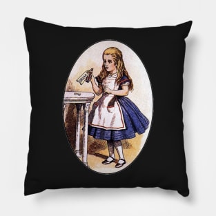 Alice in Wonderland Vintage Pillow