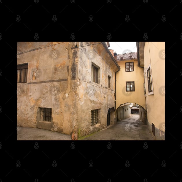 Historic Street in Skofja Loka, Slovenia by jojobob