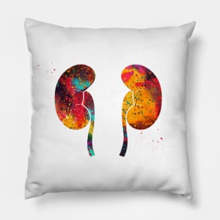 The Kidneys anatomy Pillow