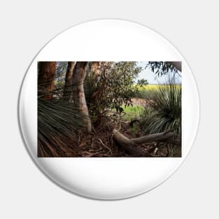 Canola Crop Through the Bush Pin