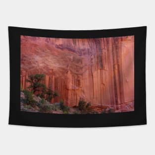 Texture and Grace ~ Capitol Reef, Utah USA Tapestry