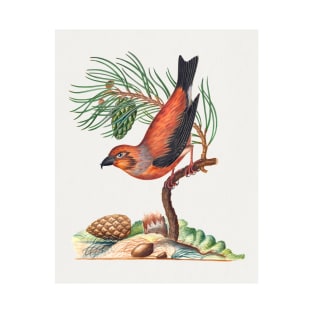 Red crossbill with Scots pine vintage nature art T-Shirt