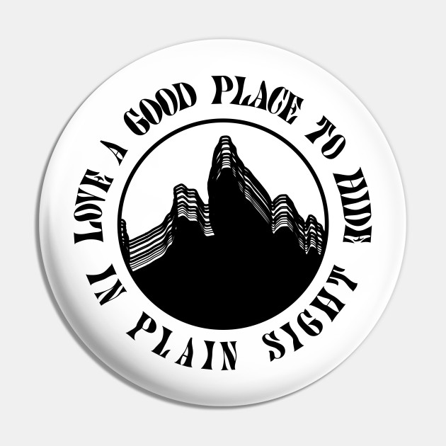 Phoebe Bridgers Punisher Lyrics Punisher Pin Teepublic