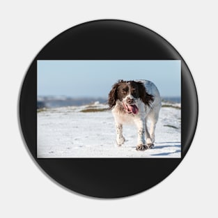 English Springer Spaniel Pin