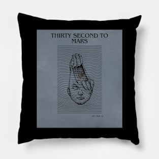 TSTM Pillow