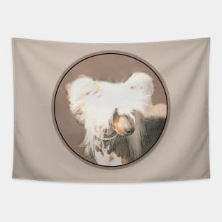 Chinese Crested (Hairless) Tapestry