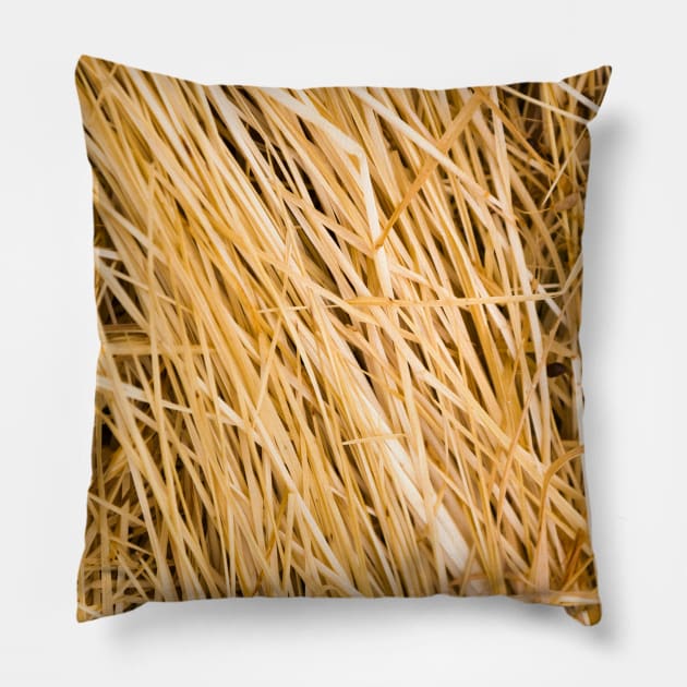 Dried yellow grass texture in a paddock Pillow by textural