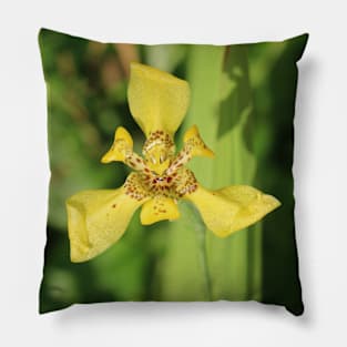 Yellow lily blossom on bright green background Pillow