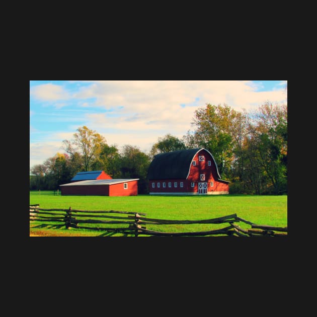 Southern Maryland Barn Charm by ToniaDelozier