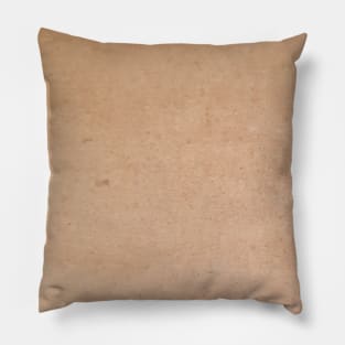 Light brown color Pillow